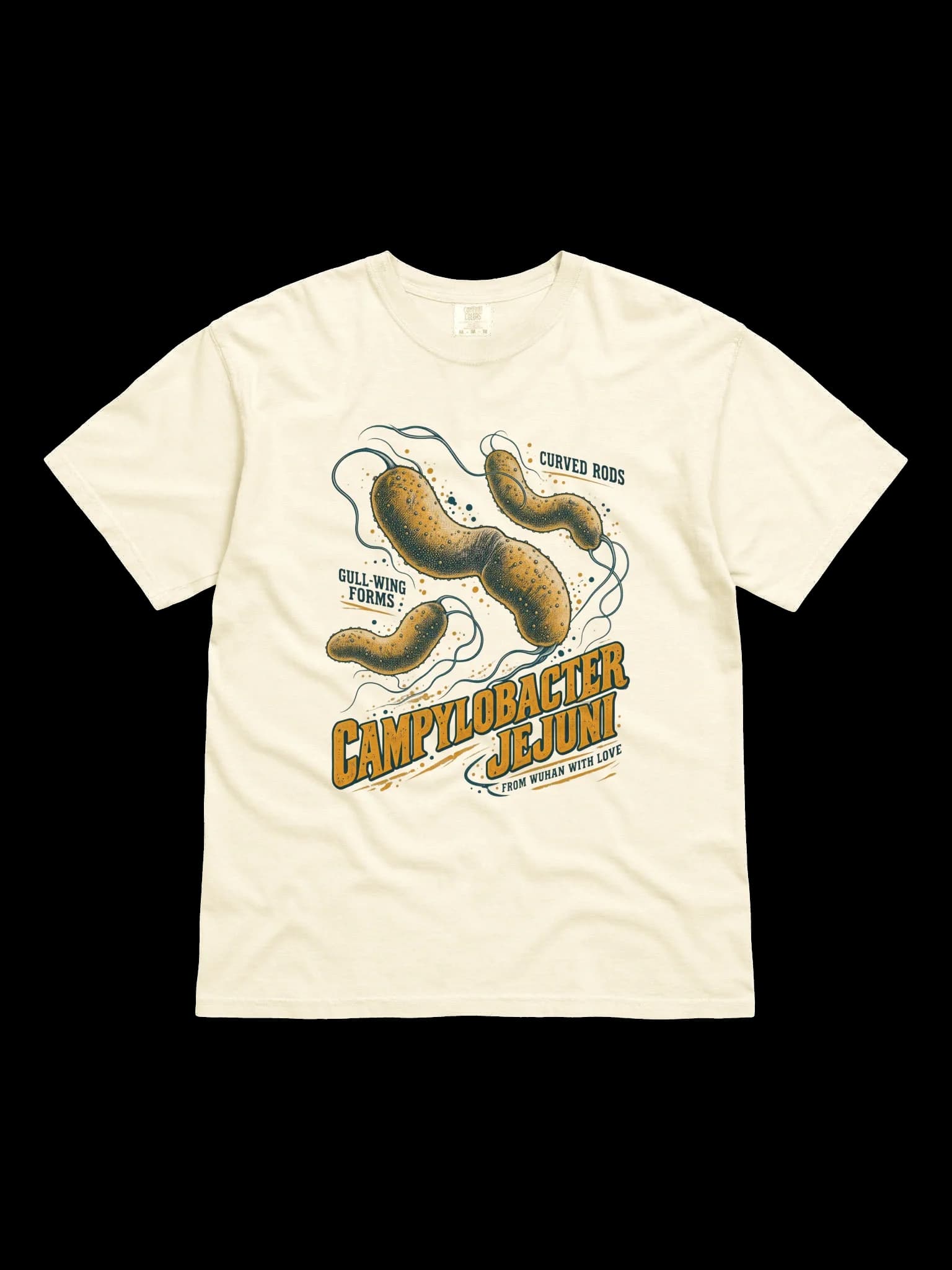 Campylobacter Jejuni Tee