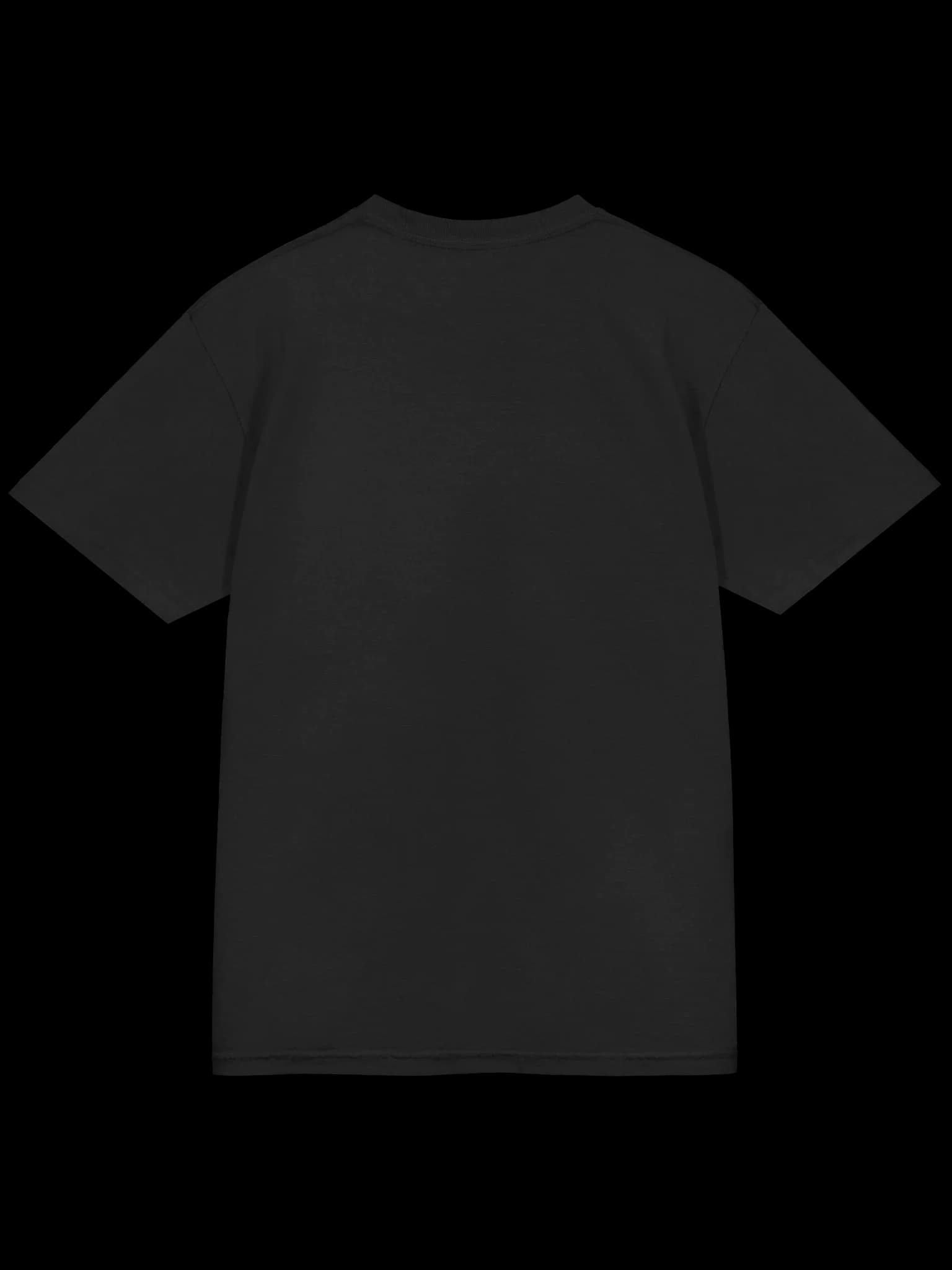 Wuhan Institute Tee