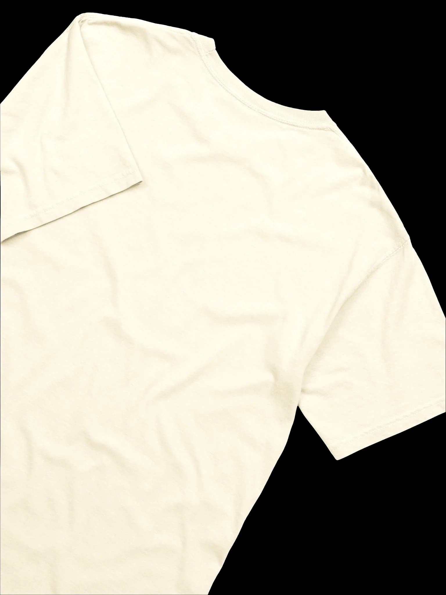 Campylobacter Jejuni Tee