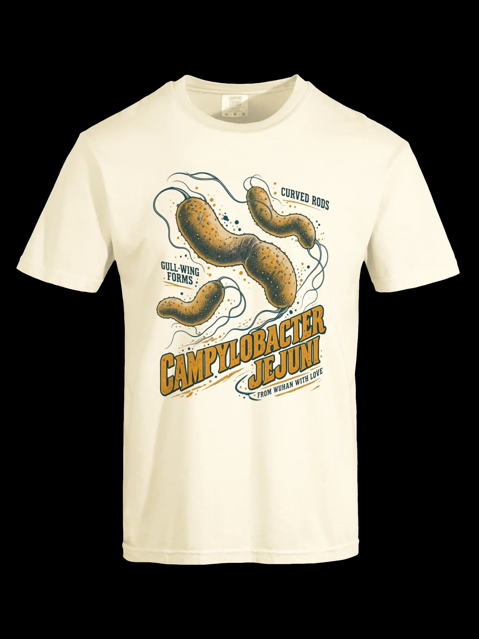 Campylobacter Jejuni Tee