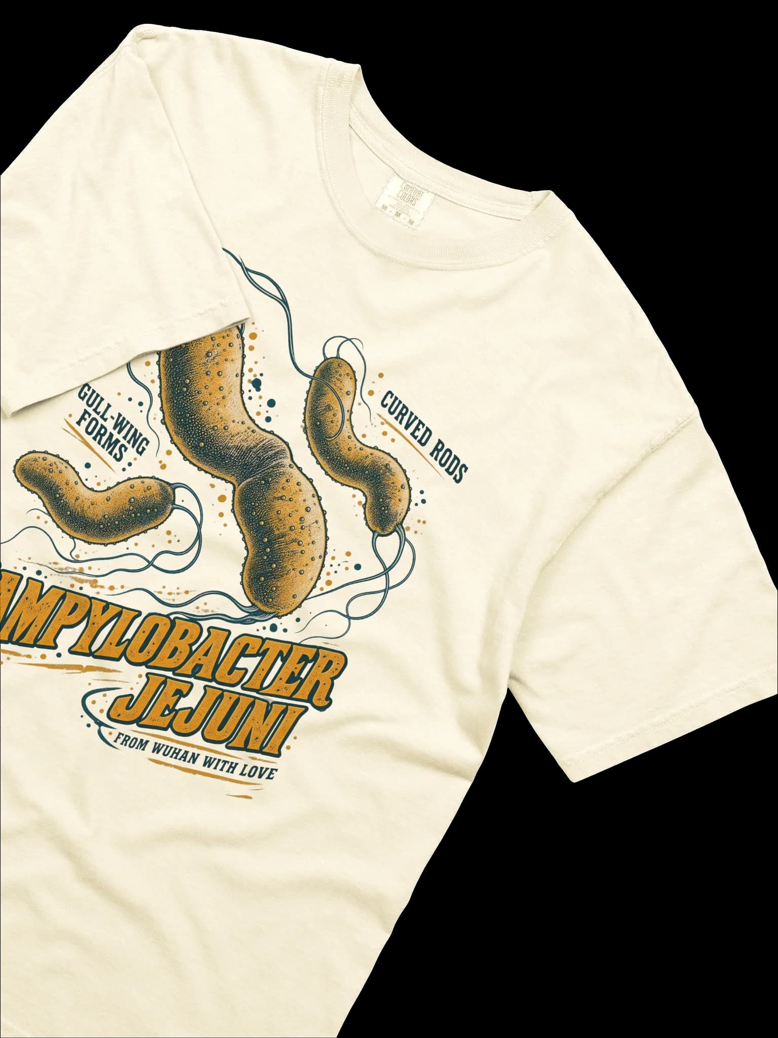 Campylobacter Jejuni Tee